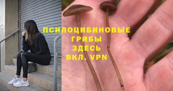 кокаин премиум Козельск